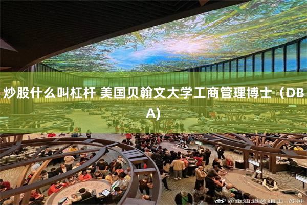 炒股什么叫杠杆 美国贝翰文大学工商管理博士（DBA)