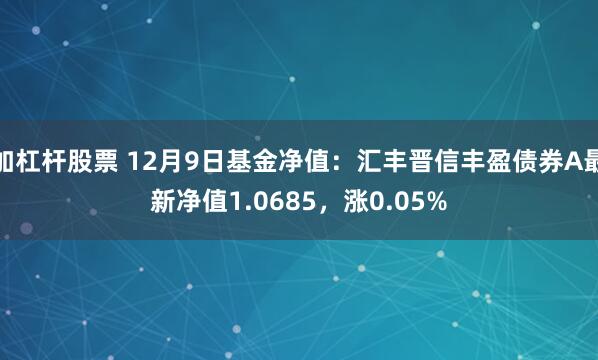 加杠杆股票 12月9日基金净值：汇丰晋信丰盈债券A最新净值1.0685，涨0.05%