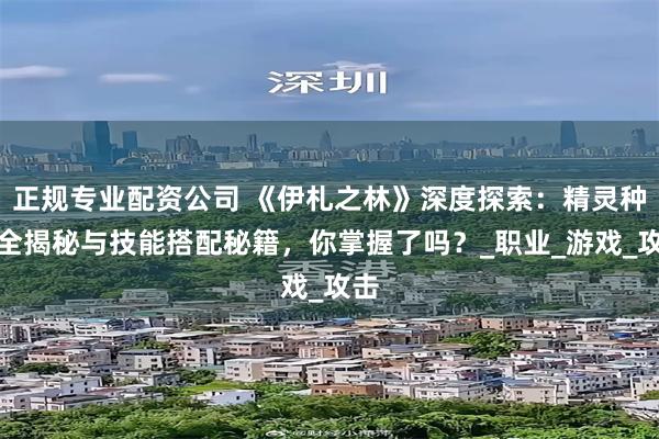 正规专业配资公司 《伊札之林》深度探索：精灵种族全揭秘与技能搭配秘籍，你掌握了吗？_职业_游戏_攻击