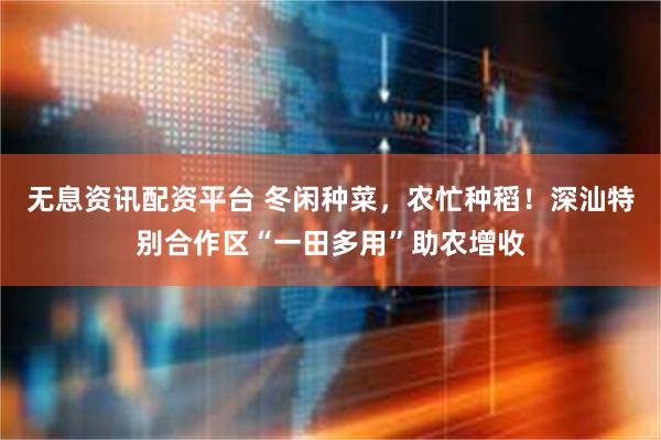无息资讯配资平台 冬闲种菜，农忙种稻！深汕特别合作区“一田多用”助农增收