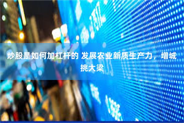 炒股是如何加杠杆的 发展农业新质生产力，增城挑大梁