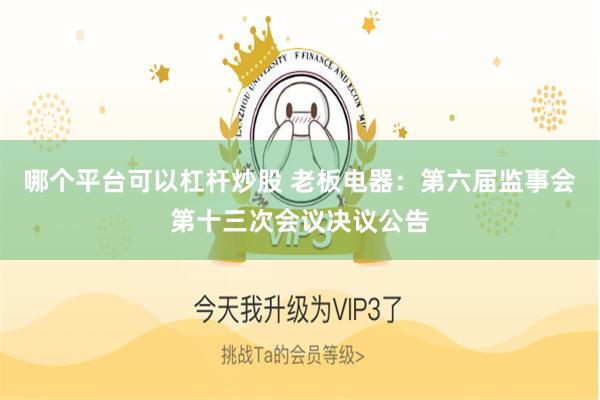 哪个平台可以杠杆炒股 老板电器：第六届监事会第十三次会议决议公告