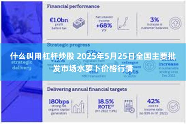 什么叫用杠杆炒股 2025年5月25日全国主要批发市场水萝卜价格行情