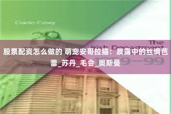 股票配资怎么做的 萌宠安哥拉猫：晨露中的丝绸芭蕾_苏丹_毛会_奥斯曼