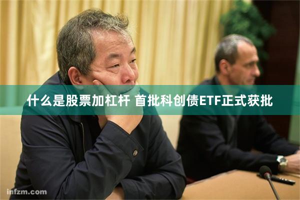 什么是股票加杠杆 首批科创债ETF正式获批